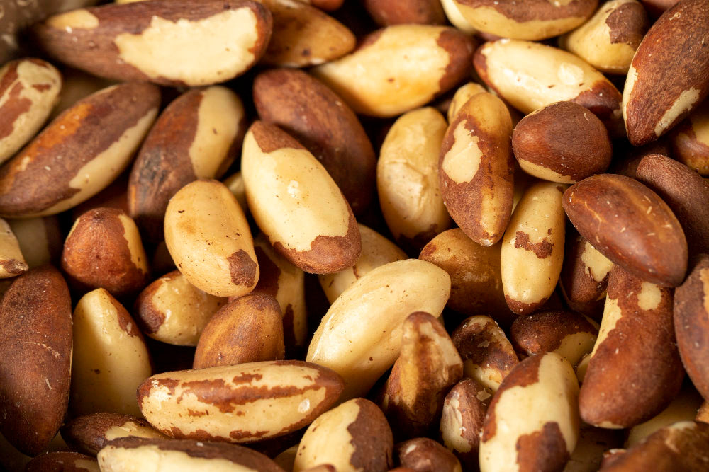 Brazil Nuts