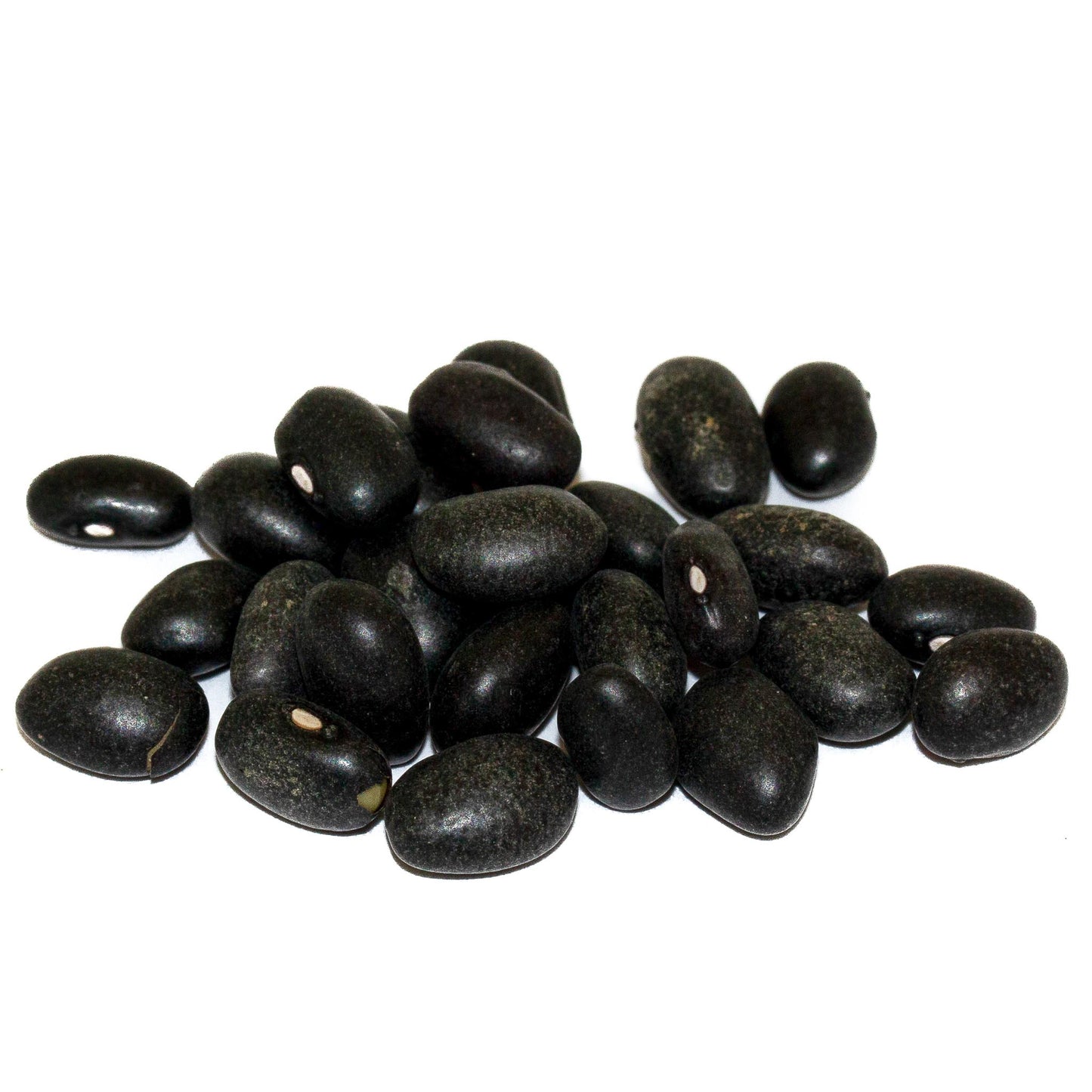 Black Beans