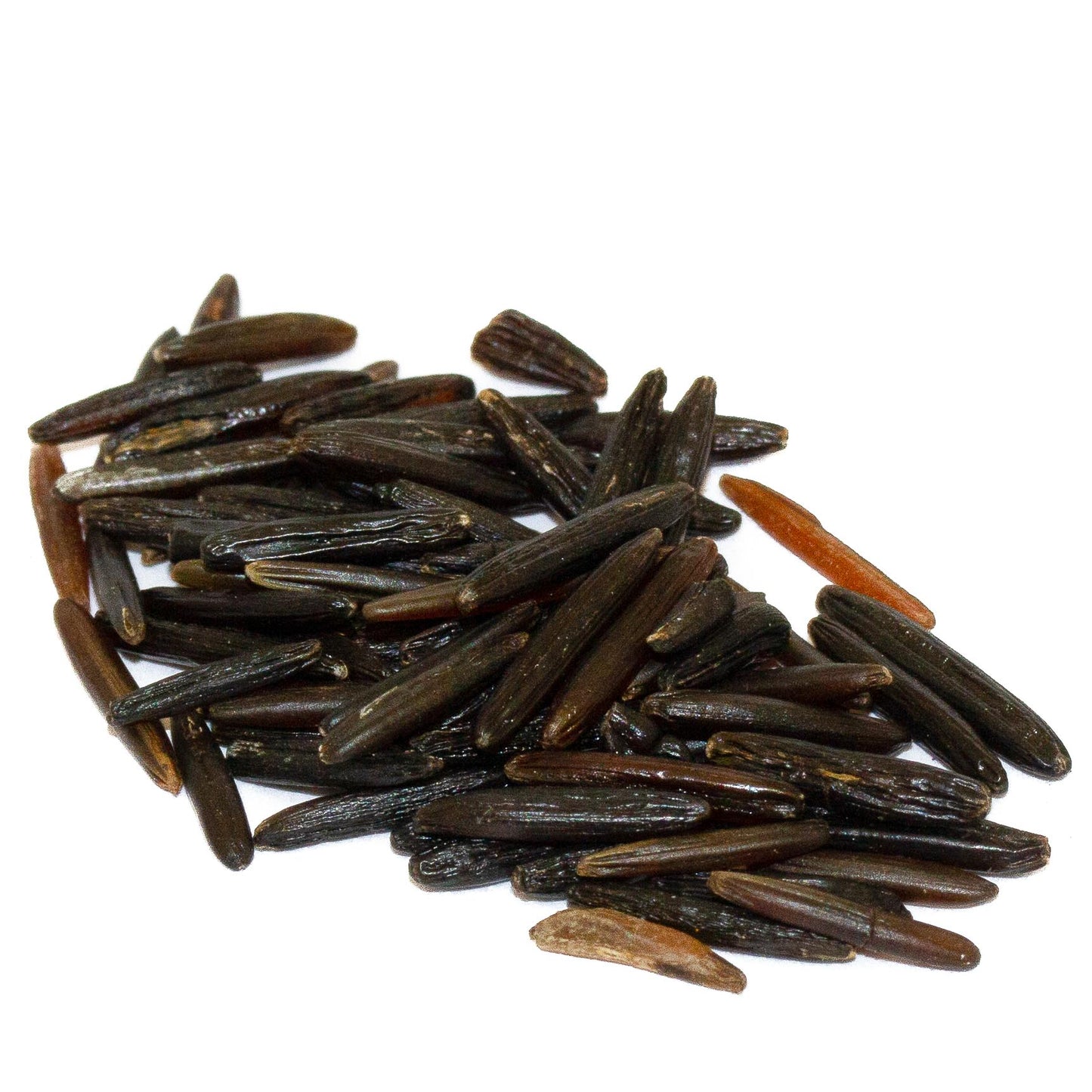 Black Wild Rice