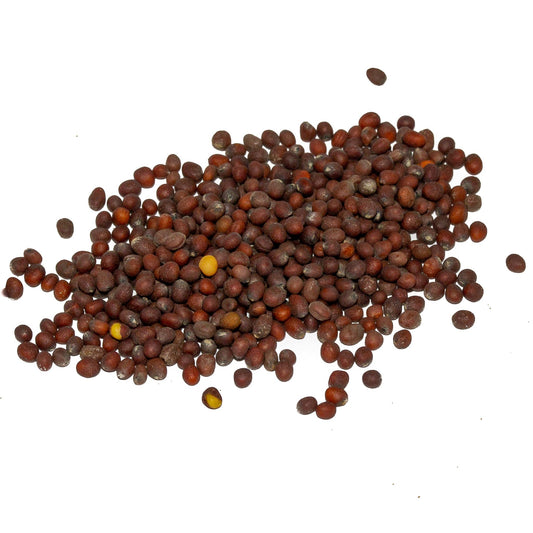 Mustard Seeds, Brown Organic