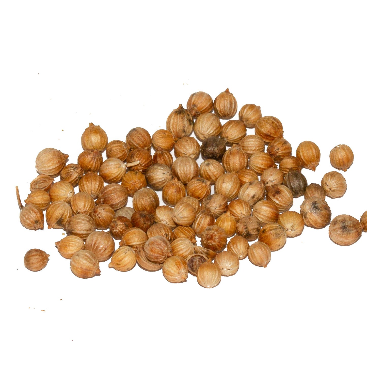 Coriander, Whole Australian