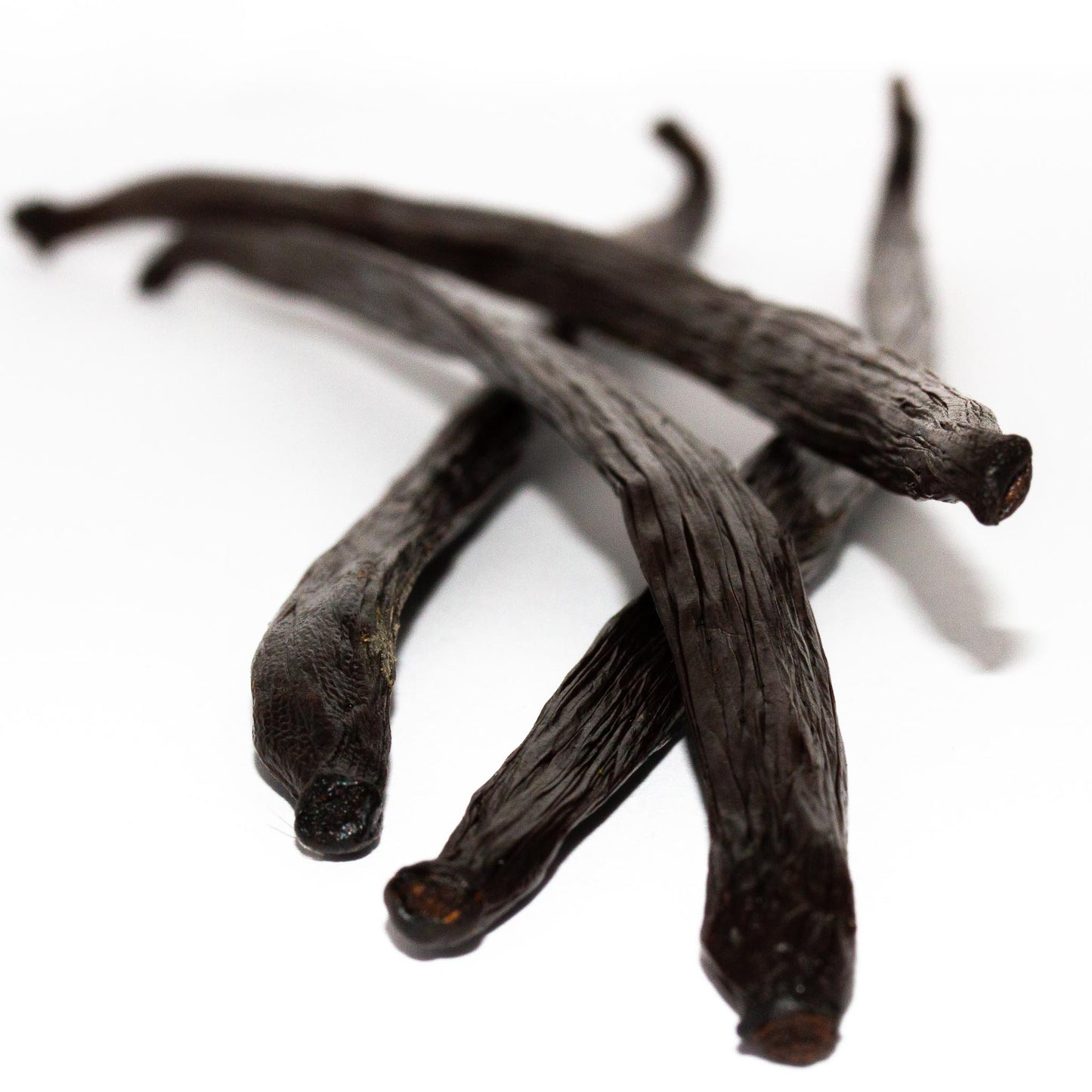 Gourmet Vanilla Bean 21 - 23cm (Each)