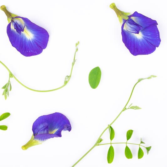 Butterfly Pea Flowers, Dried