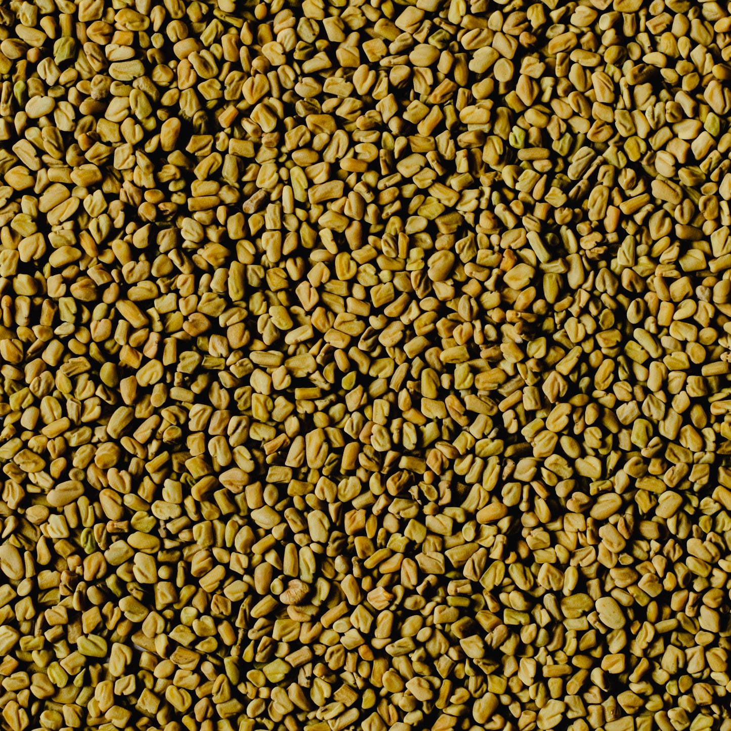 Fenugreek Seeds Organic