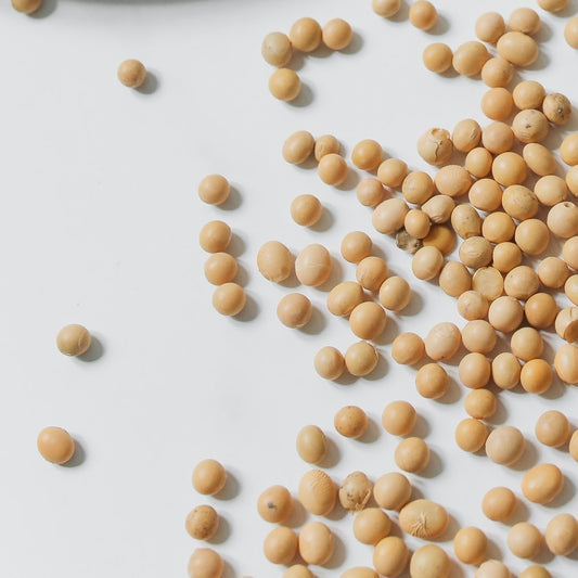 Soy Beans BULK 25kg